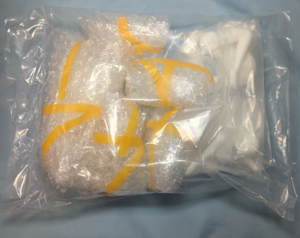 1 7スケールキャストキット 原型 蒼月青木 飛鳥馬トキ バニーガールver