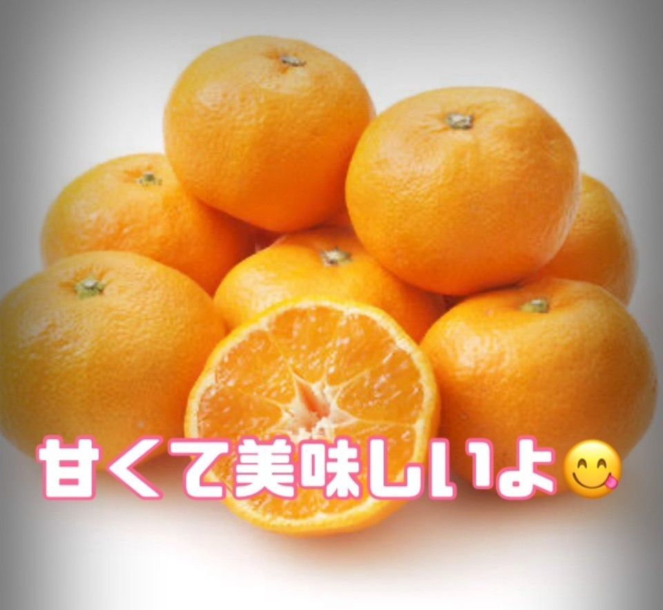 限定20箱　小つぶちゃん　有田みかん🍊2kgＢ級品　3S～2S　 味はA級品！！