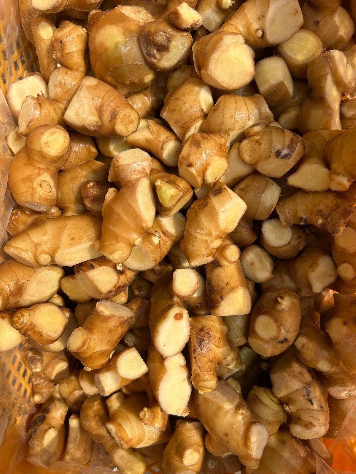 高知県産囲生姜5Kg 送料無料】「カット済み」高知県産囲生姜5Kg