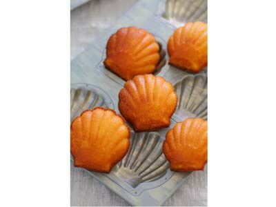 千代田金属 コンセプトモデル 1|4サイズ ホタテ貝型 6連 chiyoda チヨダ