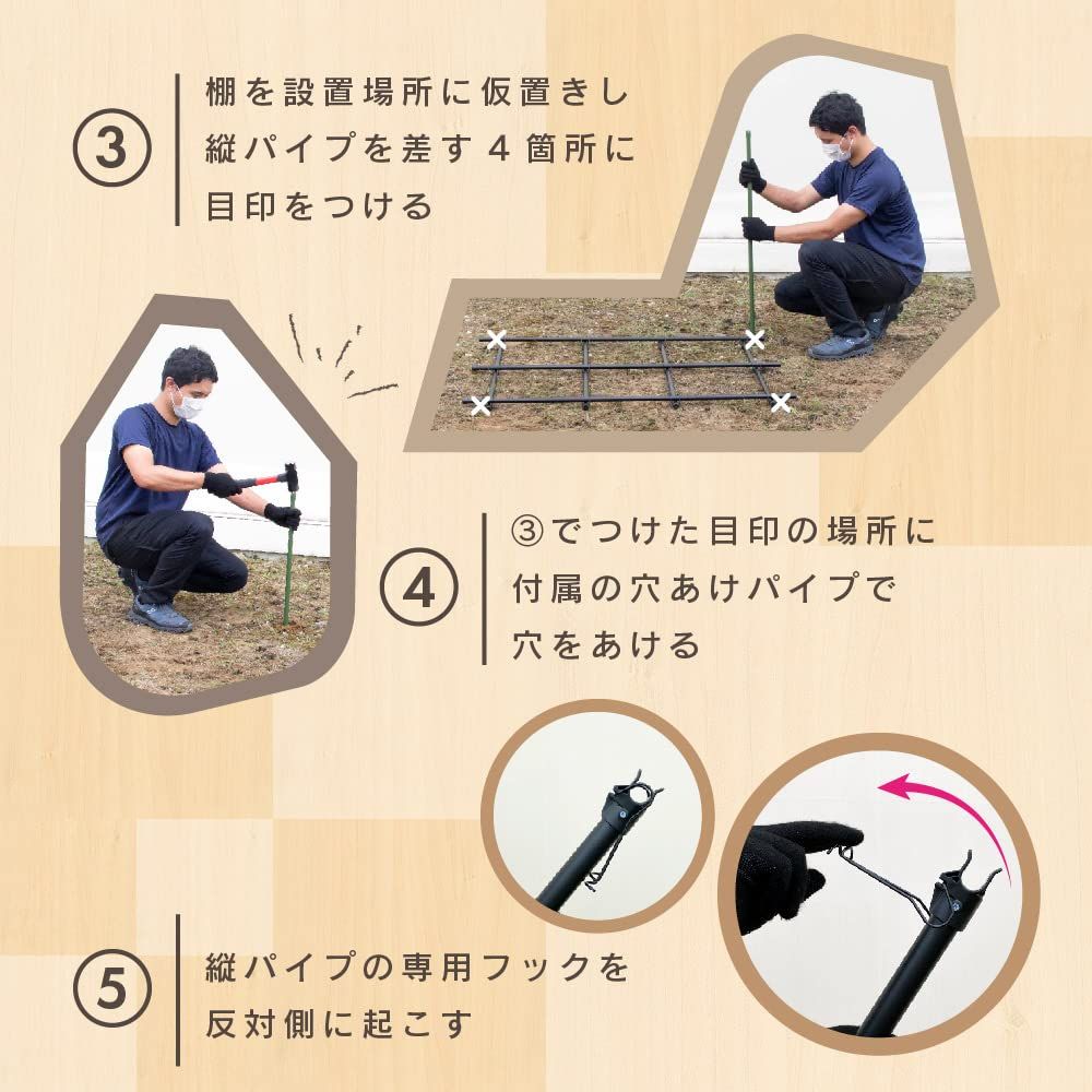 ぶどう