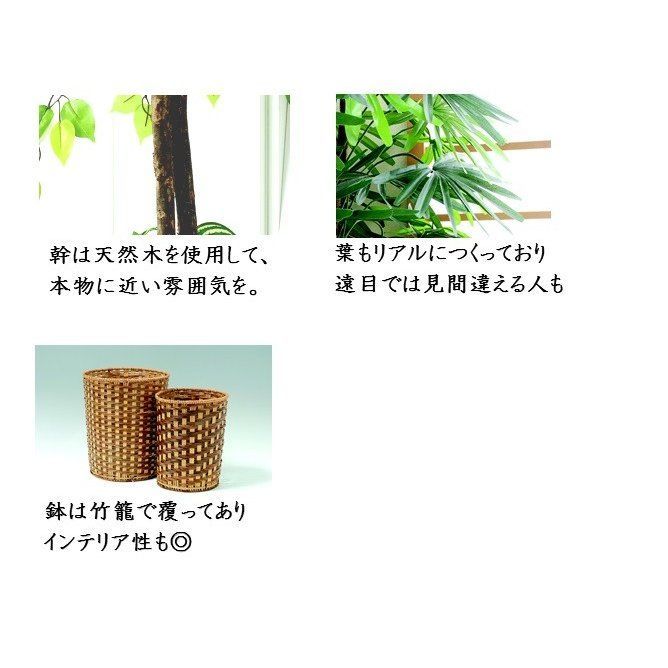 おしゃれ 和室