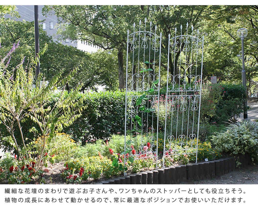 ハイタイプ