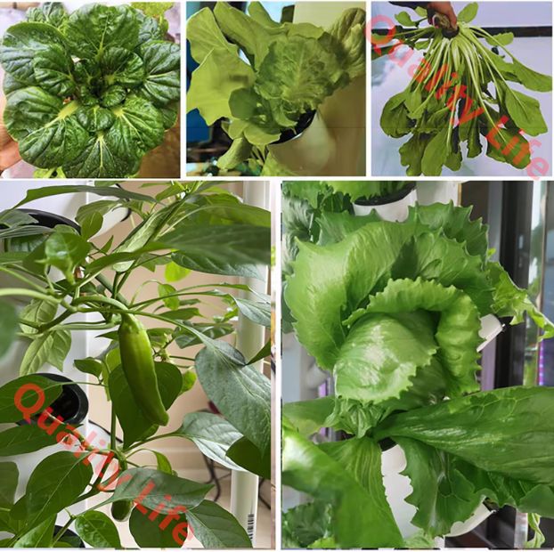 水耕栽培タワー