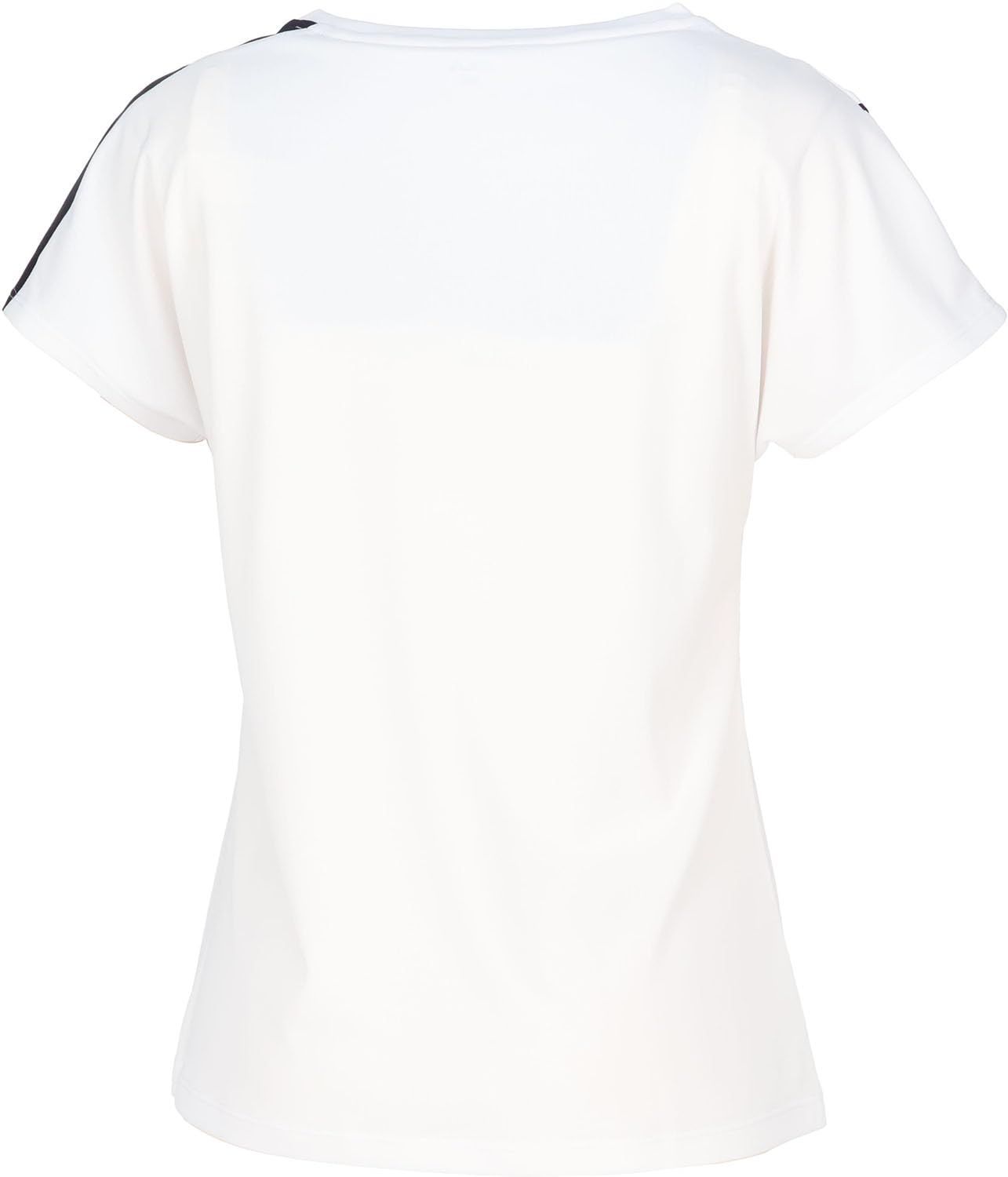 ◇TWANY と千住博コラボの桜華扇子 ◇ 2025年最新】トワニー 桜華の