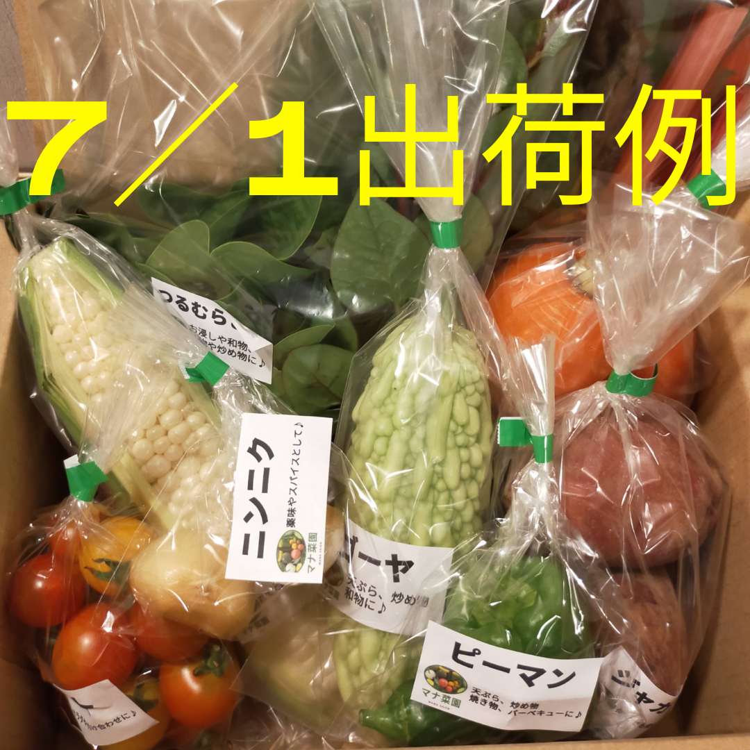 農薬、化学肥料不使用。お野菜詰め合わせ60サイズ♪冷蔵便九州、近畿、四国以外の方-1