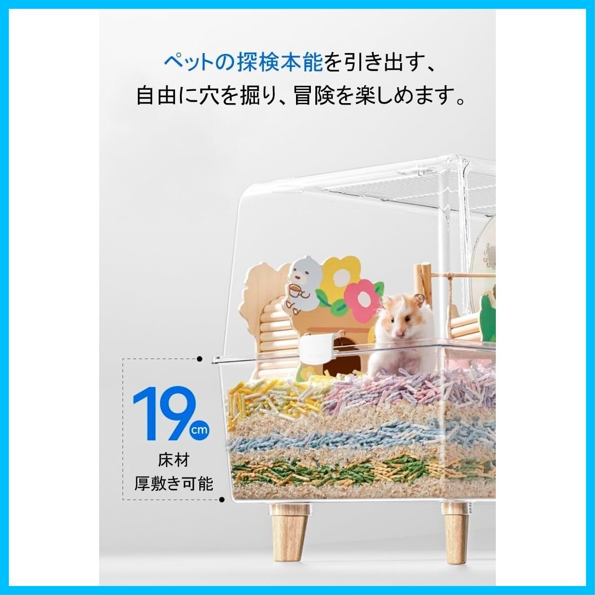 モルモット