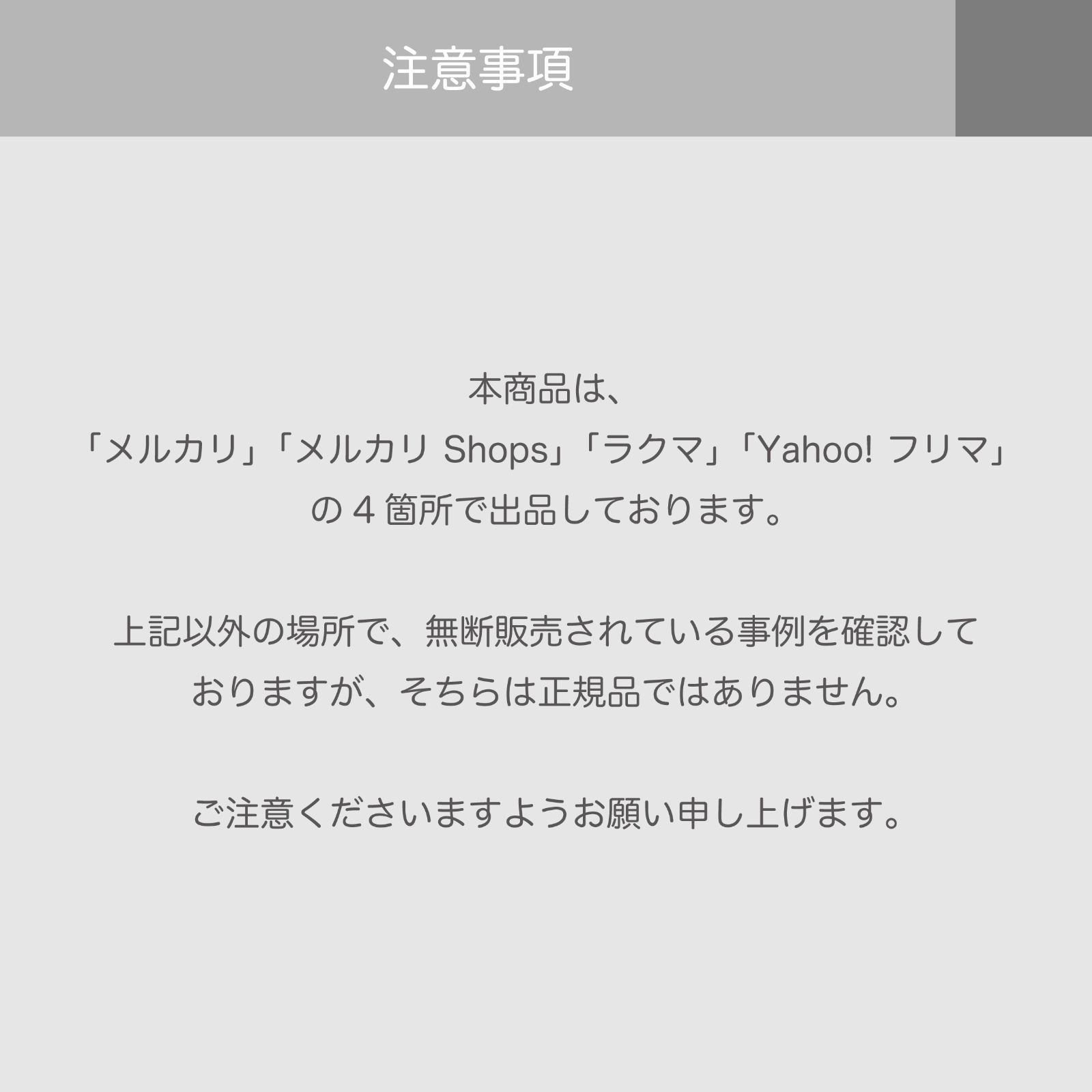 2025最新版】色彩検定1級2次試験対策+1級公式テキスト 【公式通販】