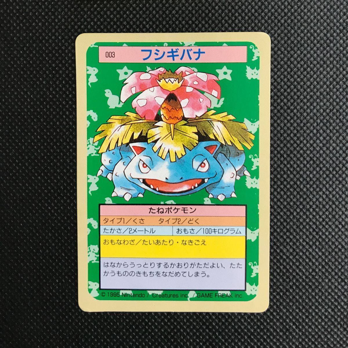 フシギバナ トップサン 裏緑 K-026