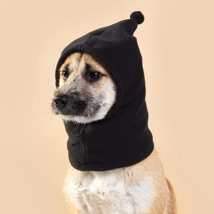 犬服 ペット服 セーター クリスマス 目出度い 犬服 ニット