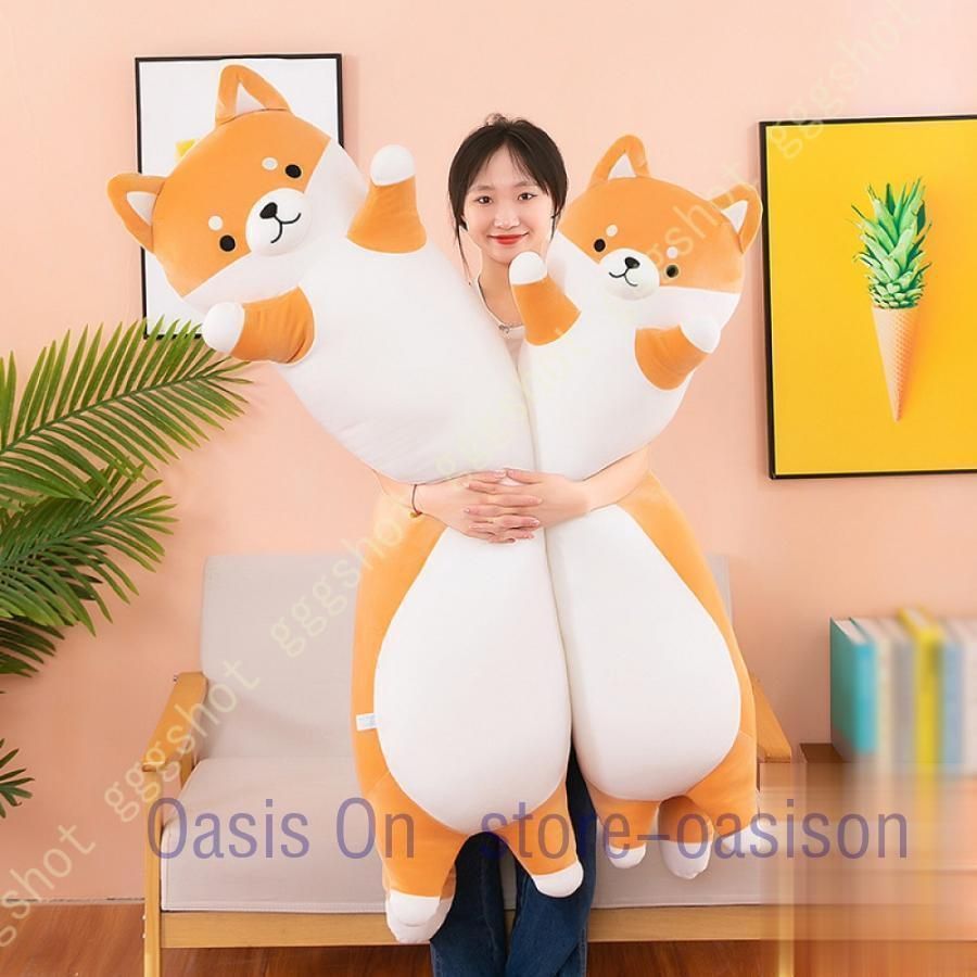 動物