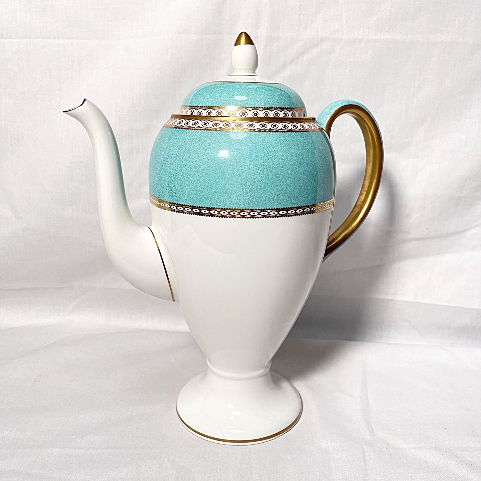 Riceball family 特大ダブルココナッツ ユッカ 観葉植物 ユッカ