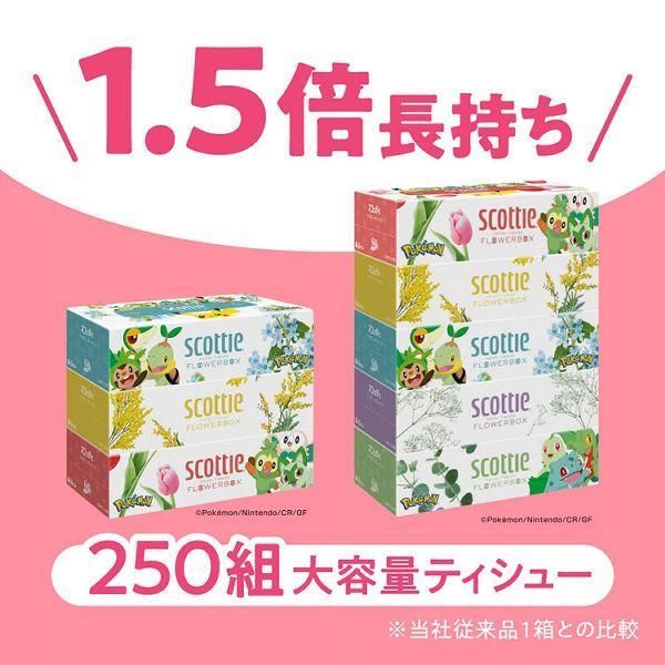 3箱パック入り ボックスティッシュ