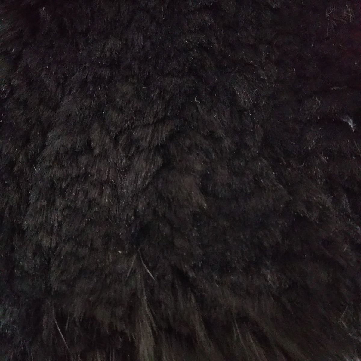 yves salomon(イヴサロモン) コート サイズ38 M レディース美品 - 黒  