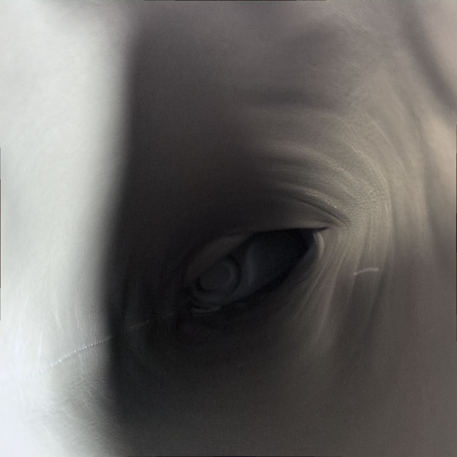 ラウンドトゥ 36