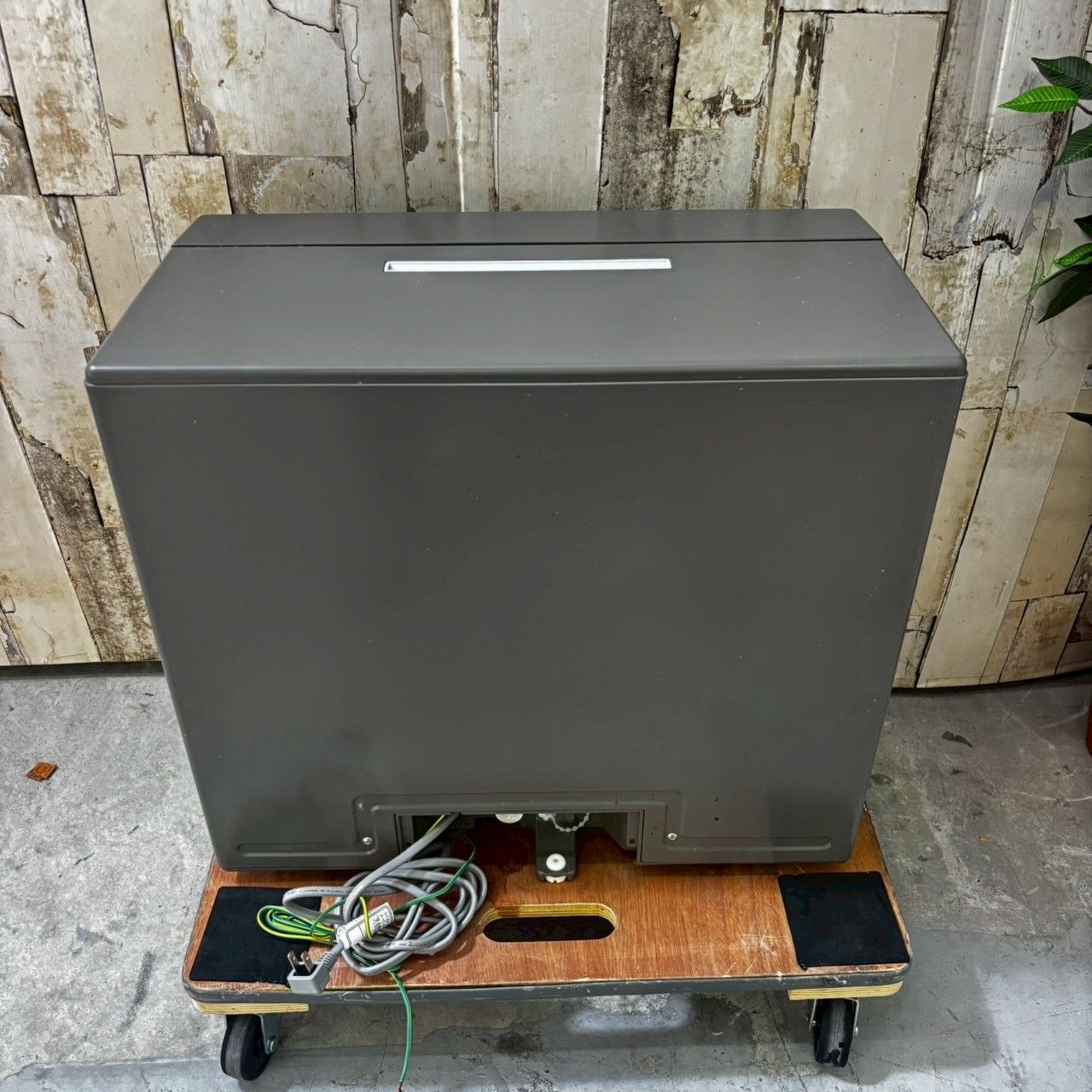 パナソニック NP-TSK1