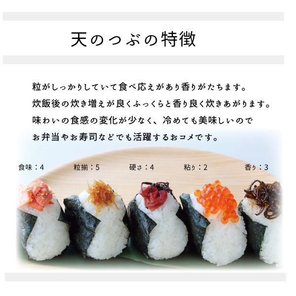 天のつぶ 白米20kg