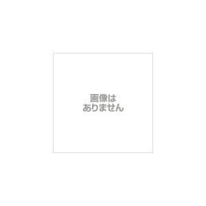 電気サンダー