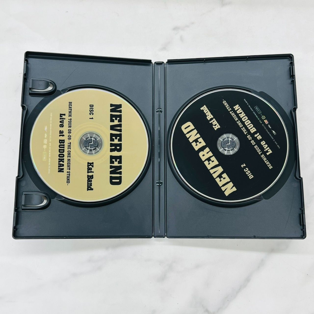 甲斐バンド NEVER END BEATNIK TOUR 08－09 －THE ONE NIGHT STAND