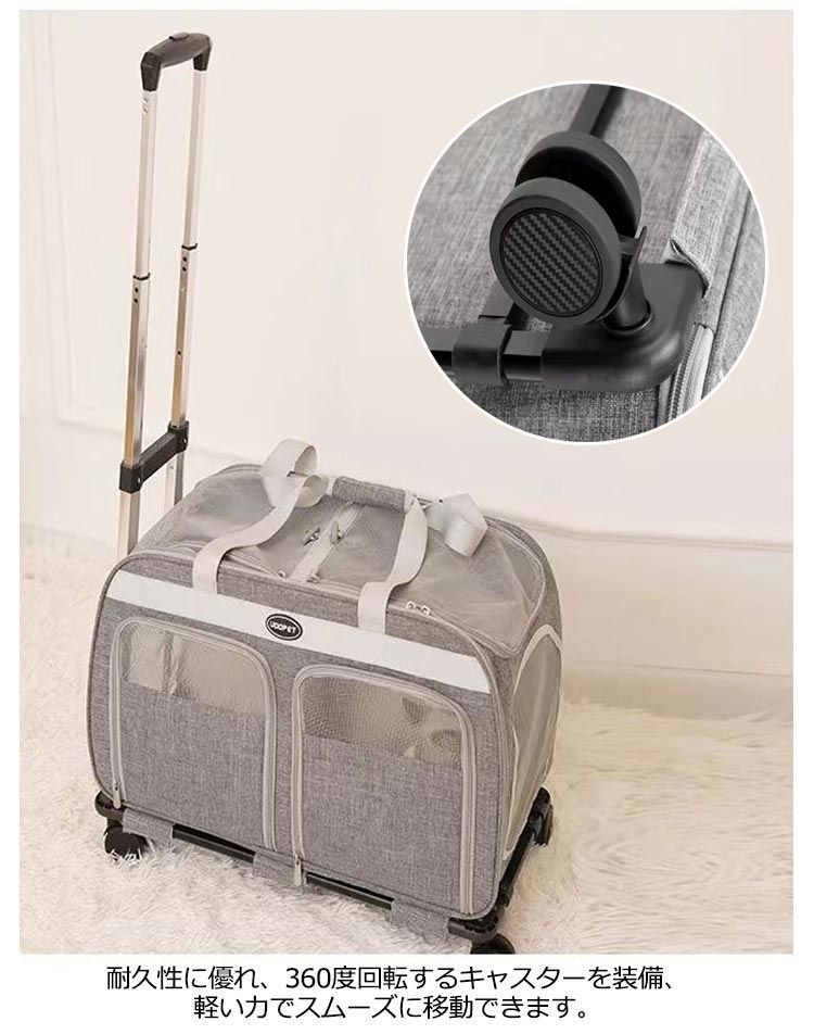 猫 最適体重16kg