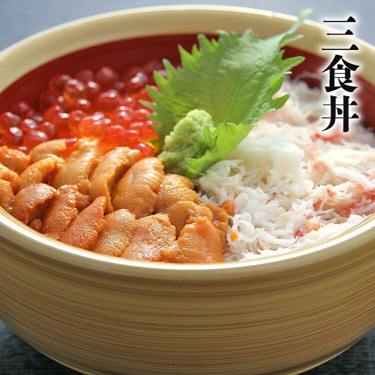 ゾイドバトルカード【オルディオス　キラカード（ブースターパック第6弾）】 ゾイド カードゲーム ゾイドバトルカードゲーム【ライジャー キラ