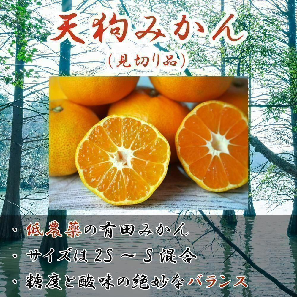 人気商品！！ 訳あり！有田みかんの最高峰【天狗みかん】小さくて甘い！5kg 通販