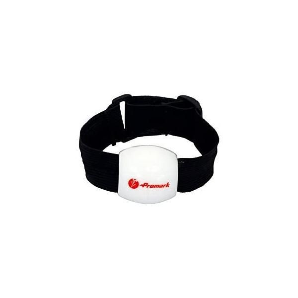 サクライ貿易(SAKURAI) Promark(プロマーク) 野球 シャドーピッチリング 立花龍司監修 TPT0473