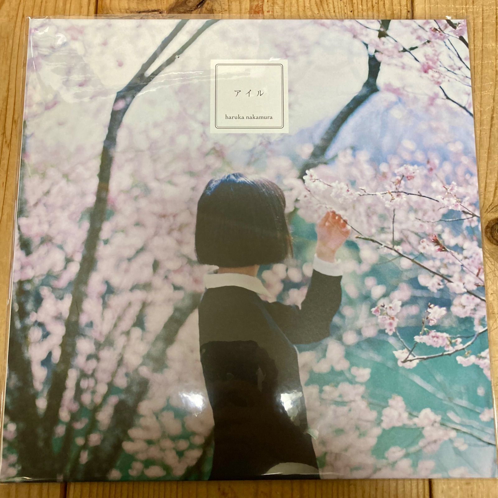 Haruka Nakamura レコード　the norce face 冬夏 Haruka Nakamura レコード the norce face 冬夏