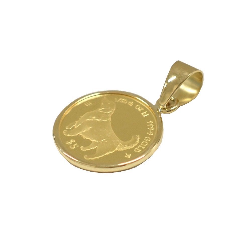 送料無料 k24 24金 純金Dogs ゴールデンレトリバー コイン エリザベス女王 コインペンダント ゴールド 1/30オンス ゴールドペンダント  ゴールドネックレス 枠k18 18金 メダル ゴールドジュエリー - メルカリ