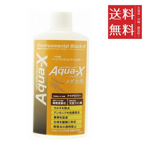 M&M's ホリデーコレクション デビッド・ギリランド 1:24