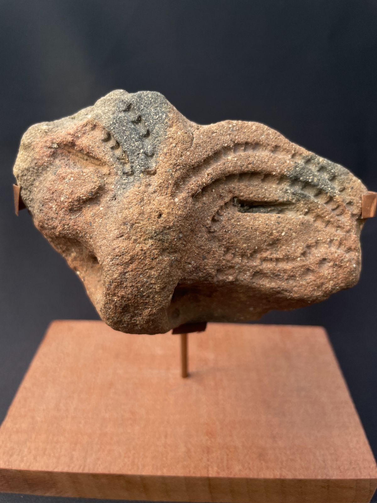 縄文土器　破片 土器破片 文化遺産オンライン