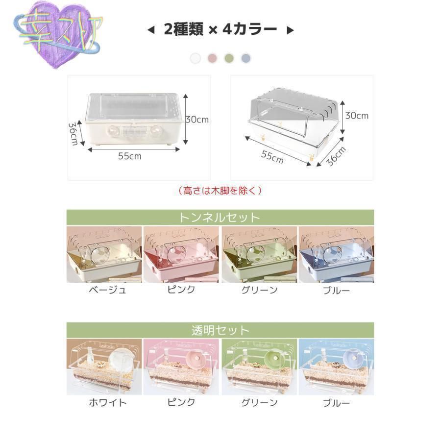 げccWP人気注目