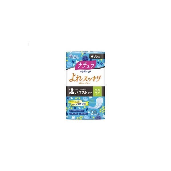 まとめ) 大王製紙 ナチュラ さら肌さらり よれスッキリ吸水ナプキン