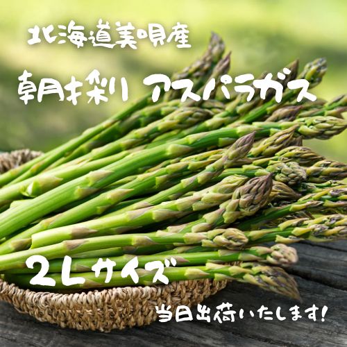 北海道美唄産　朝獲りアスパラ 2Lサイズ 1kg　専用化粧箱入り　産地直送　クール便