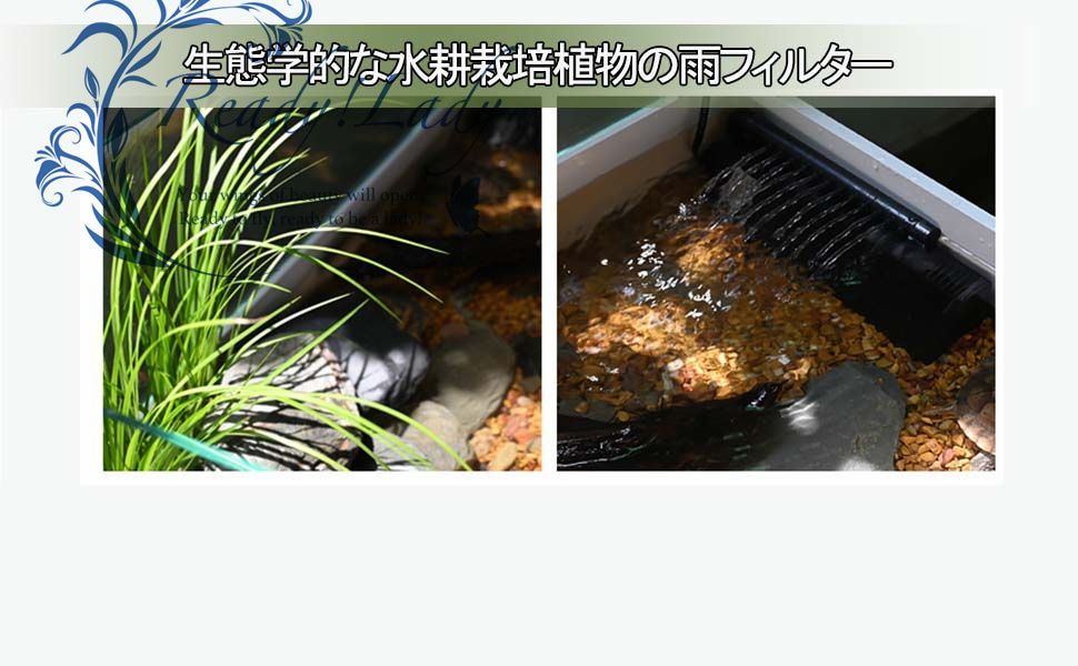 木製飼育ケージ 亀 水槽 大きい 透明 カメの生息地天然松 高精細 木製飼育ケージ 亀 水槽 大きい 透明 カメの生息地天然松 高精細