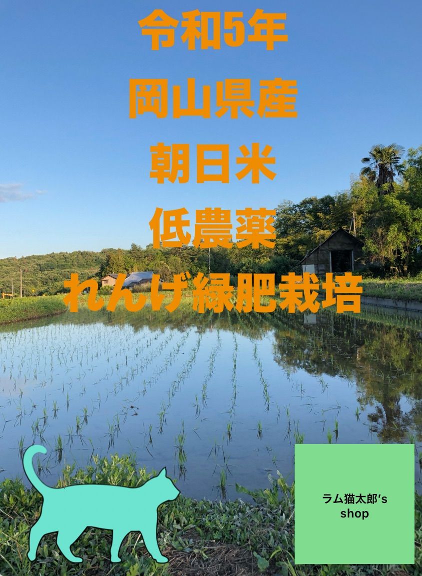 令和5年岡山県産 低農薬『れんげ緑肥栽培』『朝日米』 玄米20キロ 送料