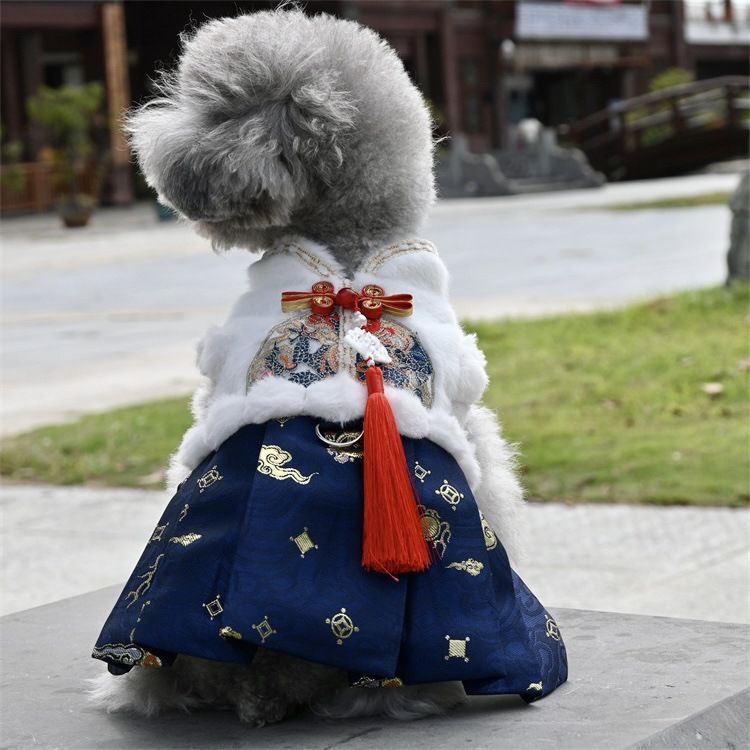 乃木坂46 same numbers 生写真 38コンプ 114枚 フルコンプ