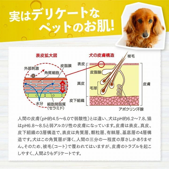 新品】ペット用 重炭酸イオン入浴剤 グルーミング タブ 100錠