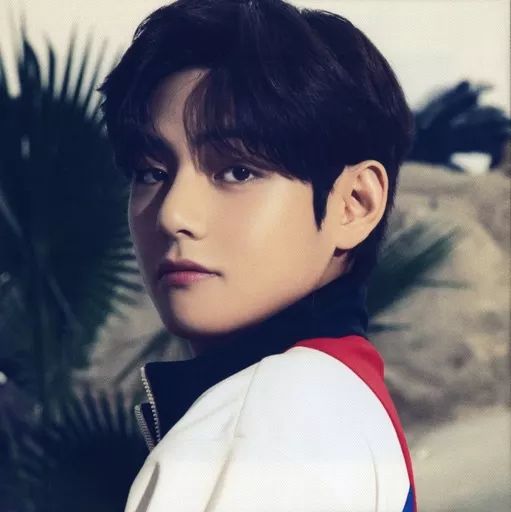 中古】キャンバスボード・キャンバスアート ブイ(BTS/防弾少年団