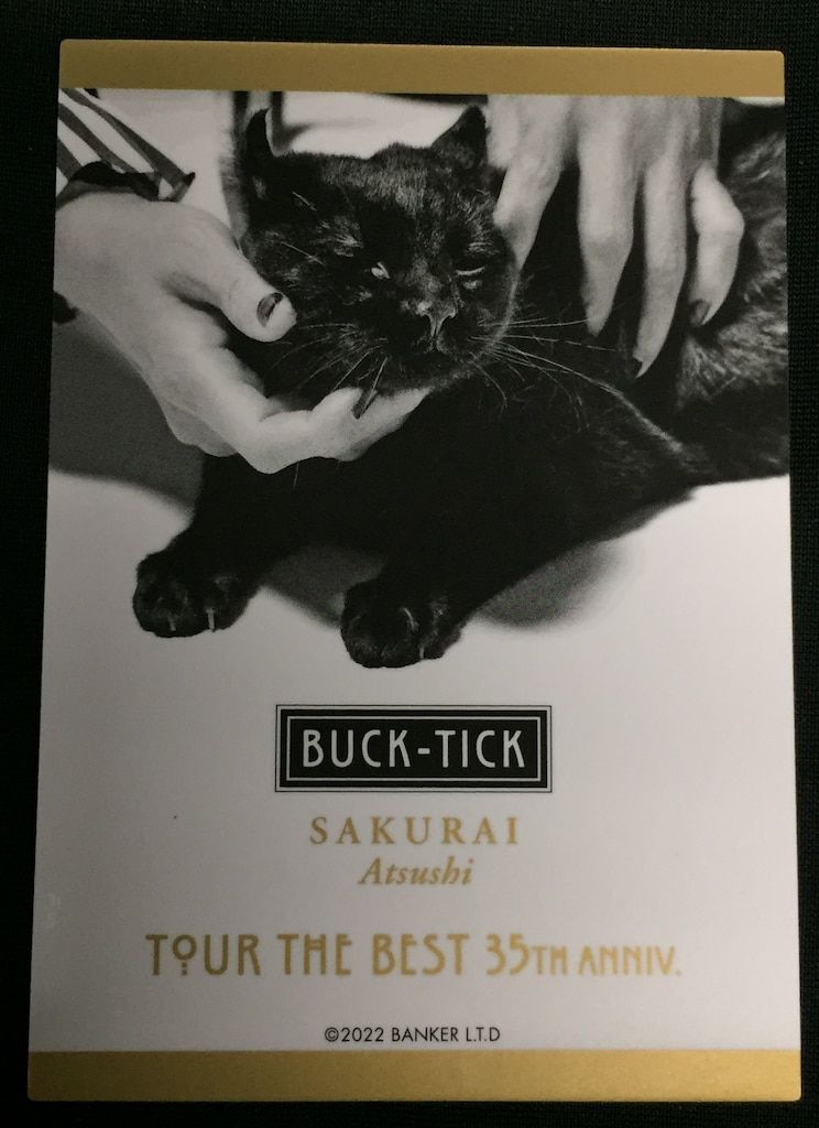 BUCK-TICK　櫻井敦司　35th anniv.オリジナルTシャツ BUCK-TICK 2022 TOUR THE BEST 35th anniv. 櫻井敦司 ランダム