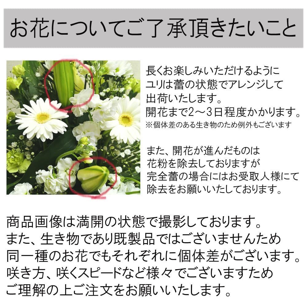 法要