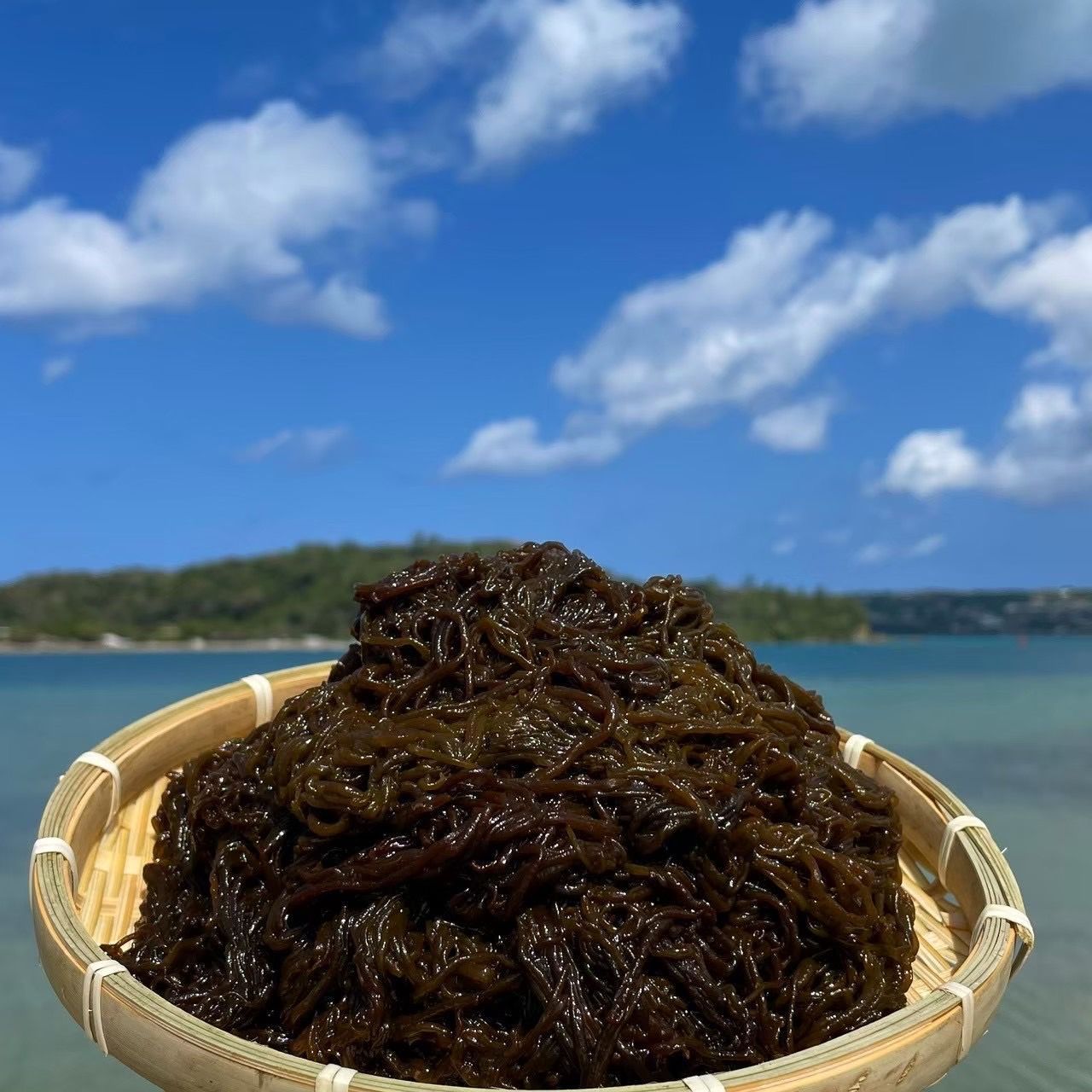 沖縄県産太もずく10kg(500g×20パック)太くて長〜い塩蔵もずく☆送料無料☆沖縄特産品/沖縄料理/沖縄土産 - メルカリ