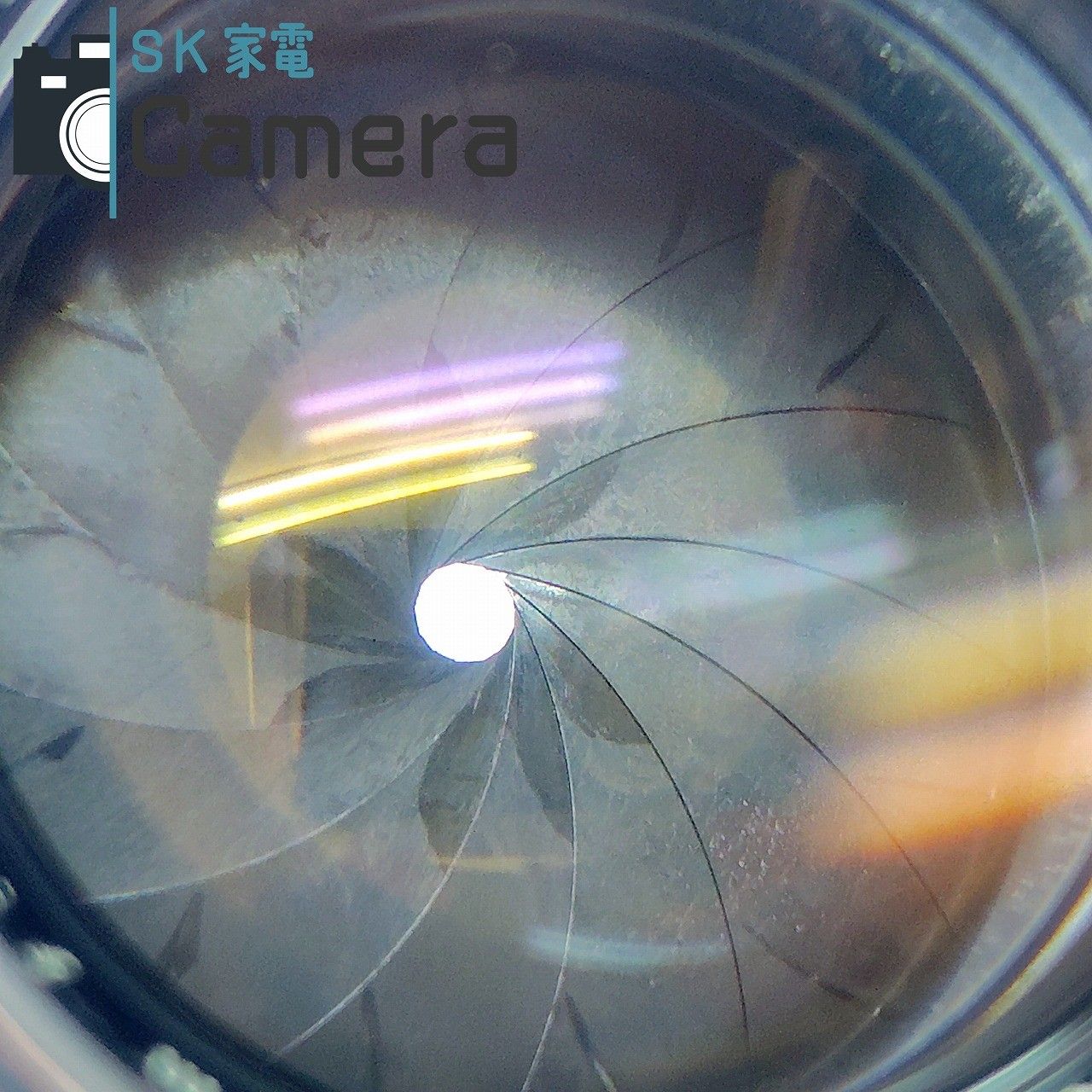 清掃済 Lマウント