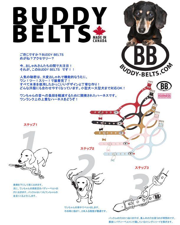 獣医師推奨 BBハーネス