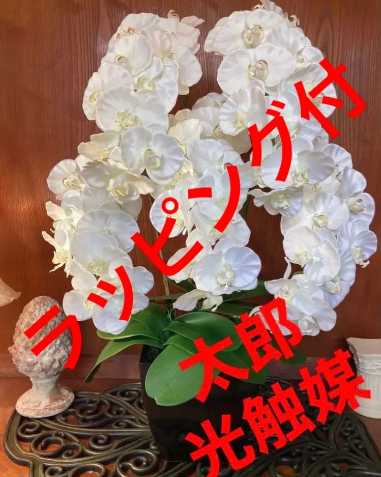 コレクション 光触媒 人工観葉植物 ウォールグリーン フェイクグリーン