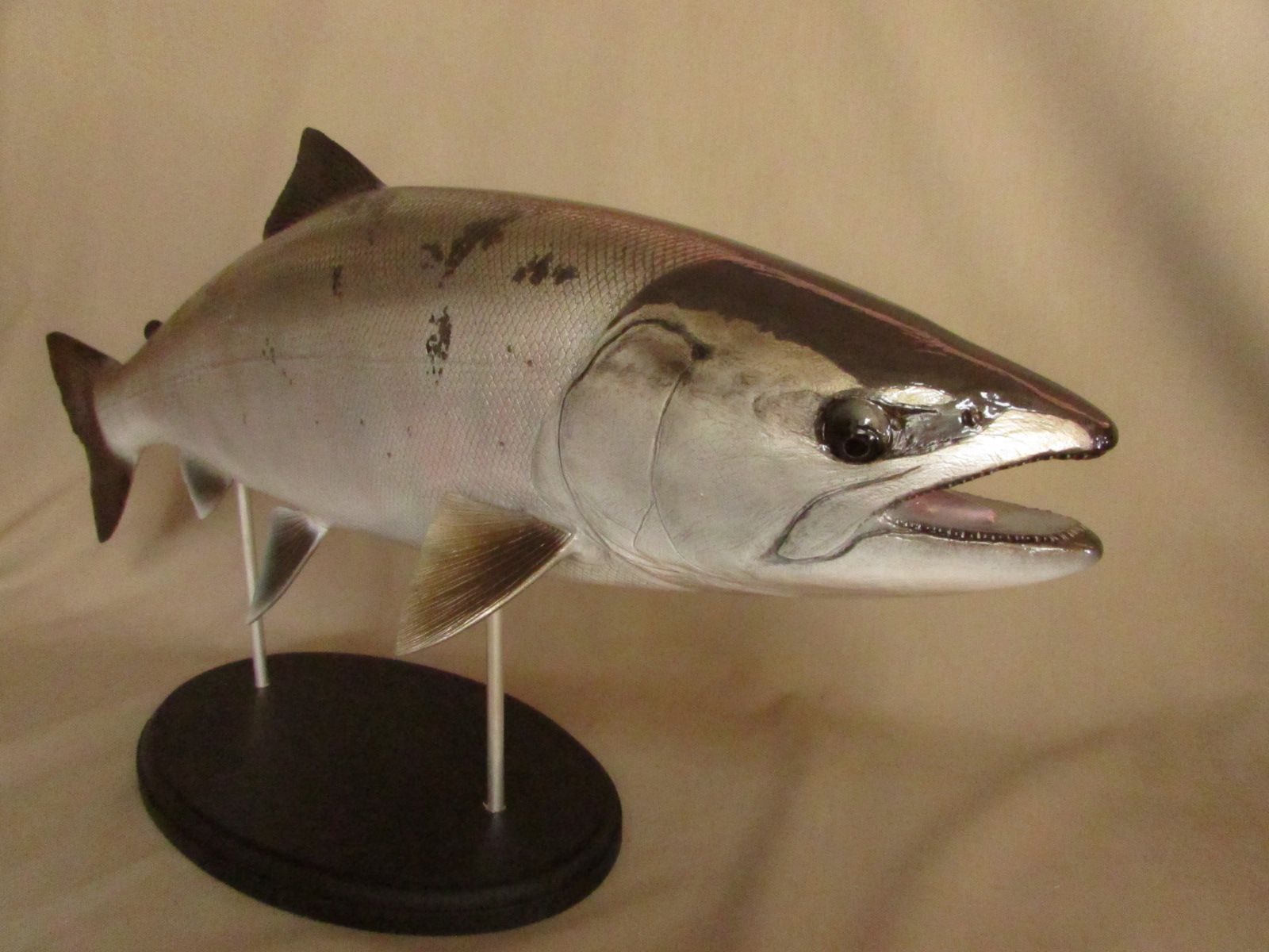 正規代理店 ハンドメイド 64cmサクラマス 桜鱒 魚 インテリア オブジェ