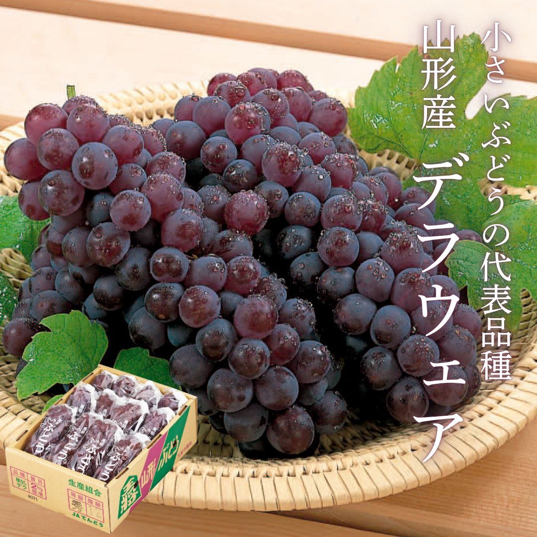 乾燥山ぶどう蔓、2kgセット。　　6-040 乾燥山ぶどう蔓、2kgセット。 6-040 山葡萄蔓細工 - 食卓に木の器