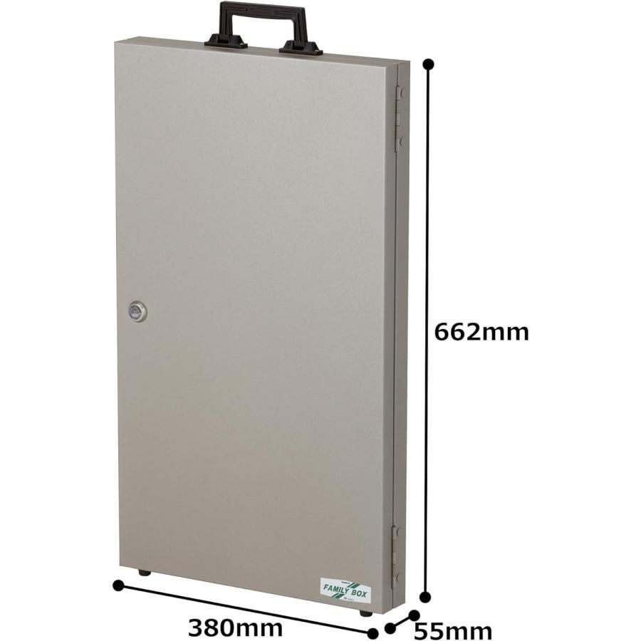 キーボックス 100本用 ディスクシリンダ錠式 FB-100 TANNER カギ 鍵 キーキャビネット 物件管理 キーステーション