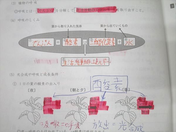 浜学園 5年生 サイエンス 理科 第1～3分冊 No.1～No.42 テキスト