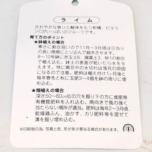 ライム